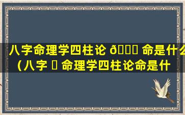 八字命理学四柱论 💐 命是什么（八字 ☘ 命理学四柱论命是什么意思）